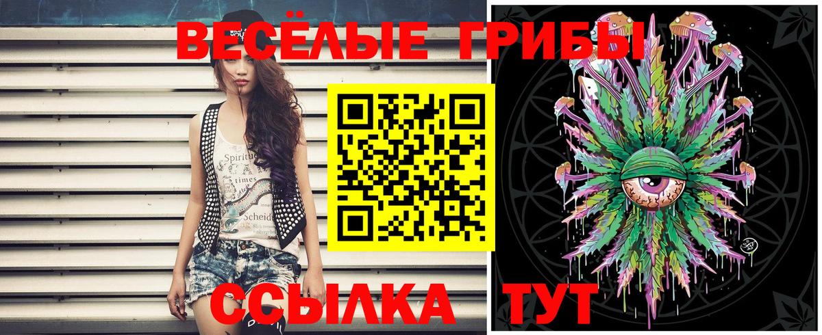 Галлюциногенные грибы GOLDEN TEACHER Железногорск